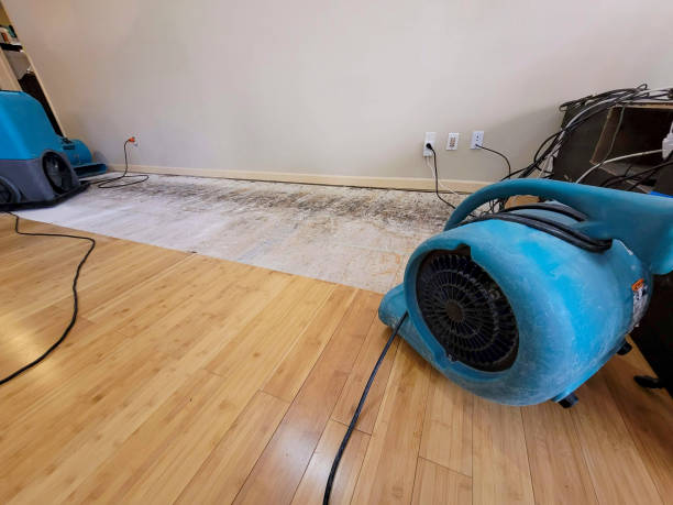 Professional Water Damage Repair technician working in Glassport, PA